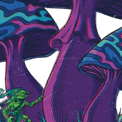 Lucid Shroom