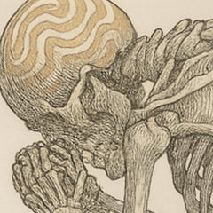 Lucid Skeleton